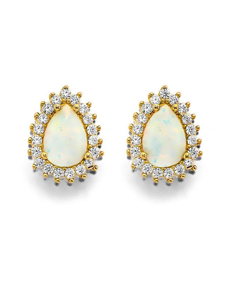 Fancy Earrings