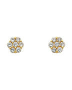 14K Yellow Gold CZ Earrings (ER-0322)