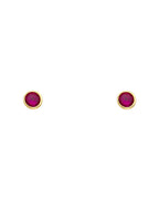 14K Yellow Gold Stud Earrings (ST-0190)