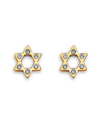 14K Yellow Gold Star CZ Stud Earrings with Screw Back (ST-0872)